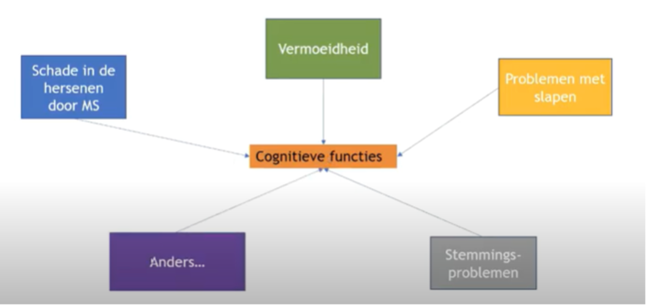 Factoren cognitieve problemen