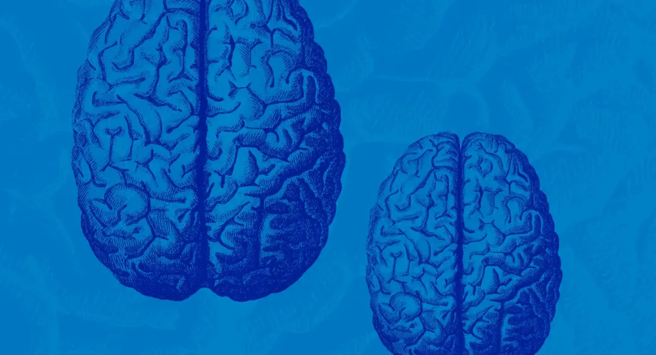 Brain Health