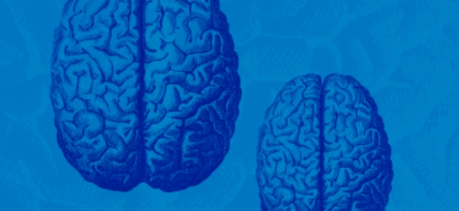 Brain Health