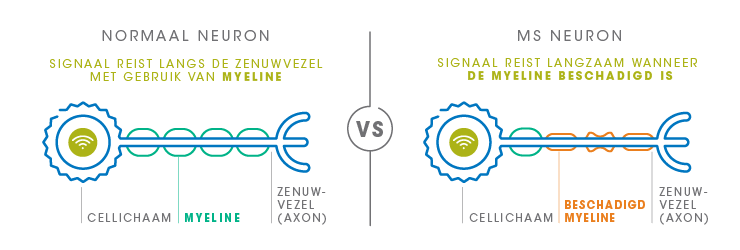 Signalen verstoord