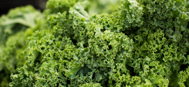 Groene bladgroente voor een gezond brein